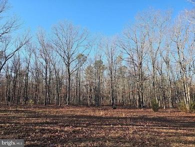 1930 Mccall Ave, Mays Landing, NJ 08330 - photo 2