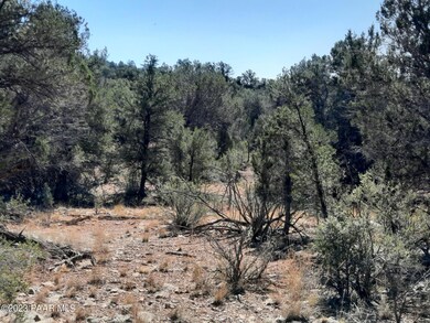 Lot 869 W Mystical Ln, Seligman, AZ 86337 - photo 4