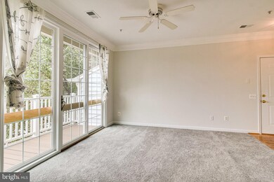 1724 Osage St unit 303, Alexandria, VA 22302 - photo 6