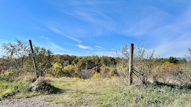 0 Rabbit Goins Ln, Malta Township, OH 43758 - photo 4
