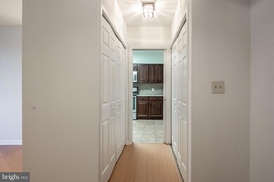 5501 Seminary Rd unit 113S, Baileys Crossroads, VA 22041 - photo 5