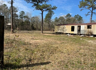 12700 Lewis Rd, Cleveland, TX 77328 - photo 5