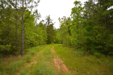 CR460/Cook Rd, Etoile, TX 75944 - photo 7