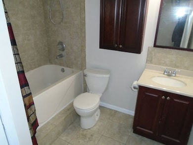 205 S Main St unit 1, Algonquin, IL 60102 - photo 6