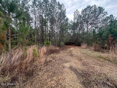 4385 Highway 43 land