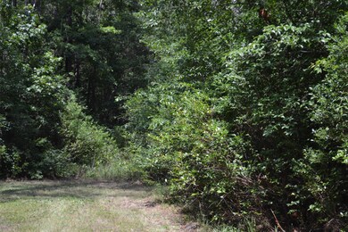 0 Holly Ridge unit 100175503, Holly Ridge, NC 28445 - photo 3