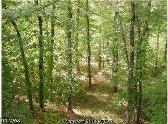 7661 Provincial Dr unit 205, West McLean, VA 22102 - photo 6