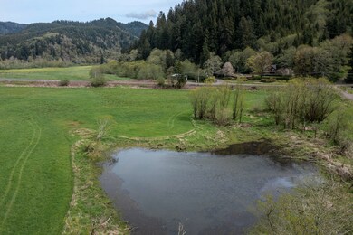 duck pond