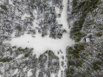 40 acres Cedar Creek Rd, Fife Lake, MI 49633 - photo 5