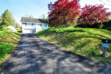 The long driveway and beautiful trees