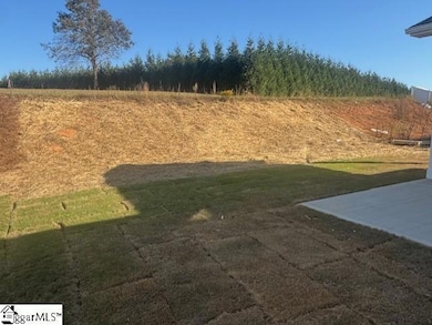 707 Torgerson Way, Simpsonville, SC 29680 - photo 3