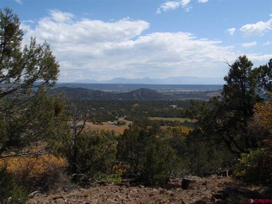 0 Squirrel Rock Rd unit 754418, Cedaredge, CO 81413 - photo 7