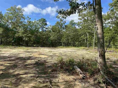 1100 Grand Ave, Hamilton Township, NJ 08330 - photo 3