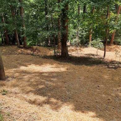 LOT 195 Shenendoa Dr, Ellijay, GA 30540 - photo 7