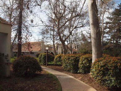 Tree lined