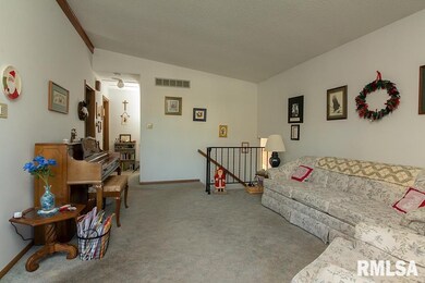 1003 W 53rd St, Davenport, IA 52806 - photo 5