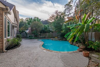 31 Pine Island Place, Spring, TX 77382 - photo 7