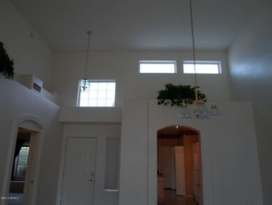 Vaulted ceilings & plant shelves
