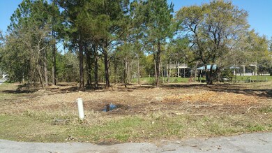 000 Fernwood Dr, Pass Christian, MS 39571 - photo 3