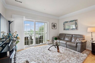 1 Francis Dr unit 302, Andover, MA 01810 - photo 6