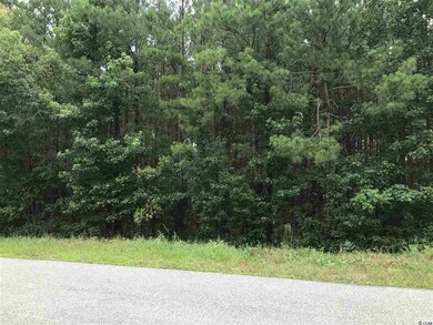 Lot 3 Chow Ln, Conway, SC 29526 - photo 2