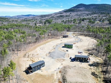 20 Hidden Glade Dr unit 18, Bartlett, NH 03845 - photo 4