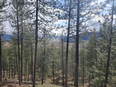 717 Snead Dr, Chewelah, WA 99109 - photo 7