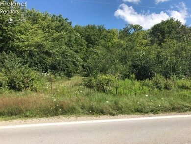 0 Devils Hole Rd unit 20192020, Pemberville, OH 43450 - photo 7