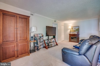 15602 Weathervane Terrace unit 602, Woodbridge, VA 22191 - photo 7