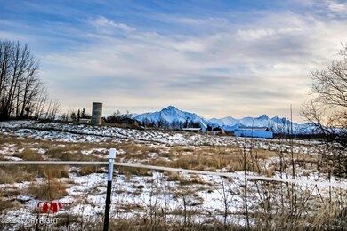 IMG_9930