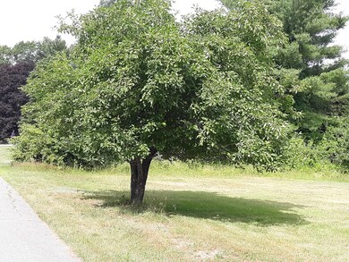 21 Newton Drive mature fruit tree and si