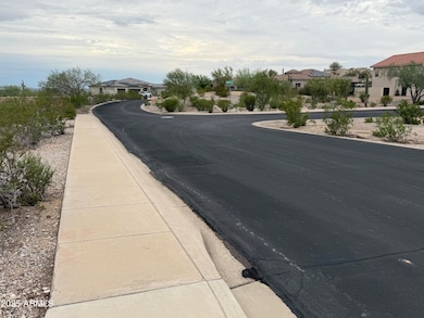 11222 S Wilson Ln unit 38, Goodyear, AZ 85338 - photo 3