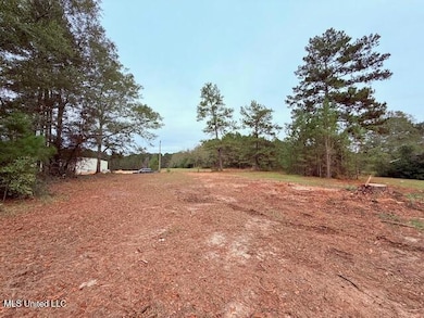 0 Cemetery Rd, Tylertown, MS 39667 - photo 2