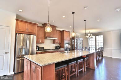 25009 Cambridge Hill Terrace, Chantilly, VA 20152 - photo 5