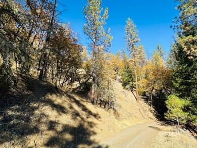 Property on left side of road