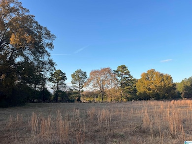 11 Acres Risers Mill Rd, Alpine, AL 35014 - photo 7