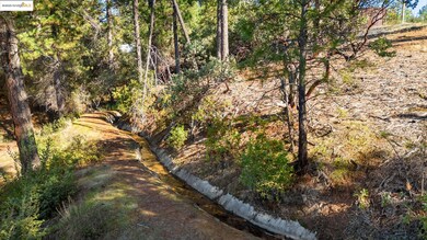 11210 Forest Park Dr, Columbia, CA 95310 - photo 4