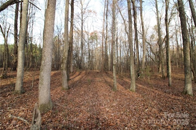 14.5+/-AC Pioneer Rd, York, SC 29745 - photo 3