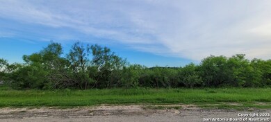 562 County Road 367, Hondo, TX 78861 - photo 6