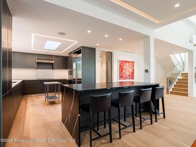 1440 Crystal Lake Rd unit 1, Aspen, CO 81611 - photo 7