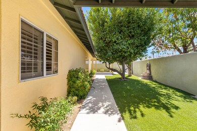 10-web-or-mls-8M4A6329