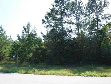 2064 White Buck Ct, Cleveland, TX 77328 - photo 7