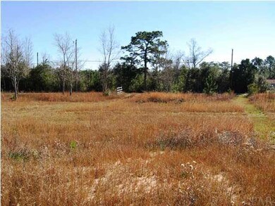 From center of property facing Crow Rd. entrance gate.