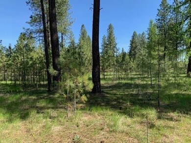 XXXX N Hatch Ln, Spokane, WA 99005 - photo 7