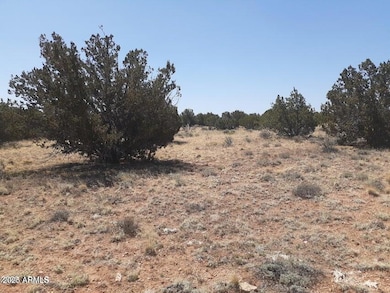 10 Acre 17xx Buffington Hill Rd, Heber, AZ 85928 - photo 2