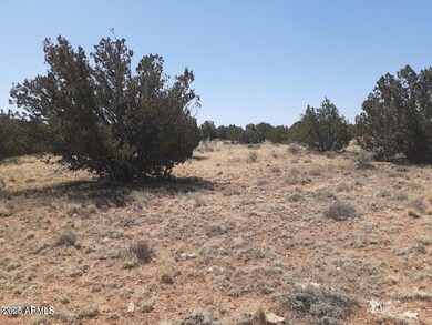 SW 10 Acre 17xx Buffington Hill Rd, Heber, AZ 85928 - photo 2