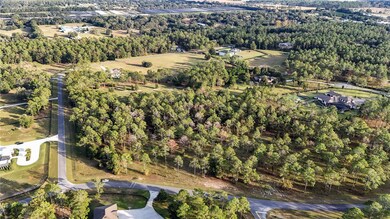 24325 Deep Springs Loop, Eustis, FL 32736 - photo 6