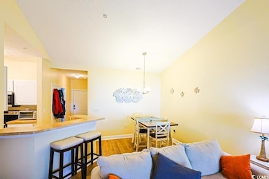 4935 Crab Pond Ct unit 203, Myrtle Beach, SC 29579 - photo 4