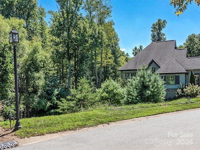 19 Mountain Orchid Way unit 77, Arden, NC 28704 - photo 6