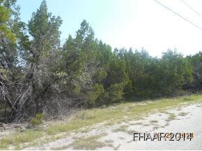 2.833 Acres Cr 4808, Copperas Cove, TX 76522 - photo 2